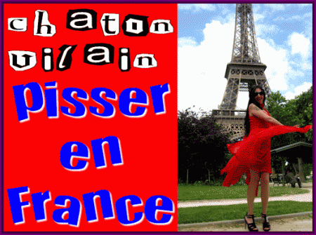 Pisser En France  Chaton Vilain