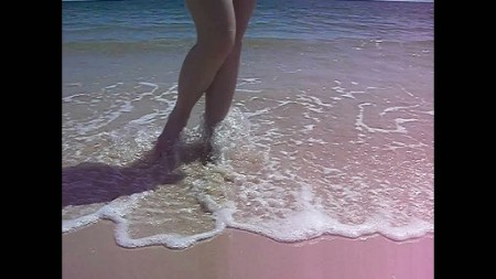 Pretty Toes On A Sandy Beach
