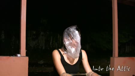 Into The Attic - Elise Cant Get The Bag Off Her Head