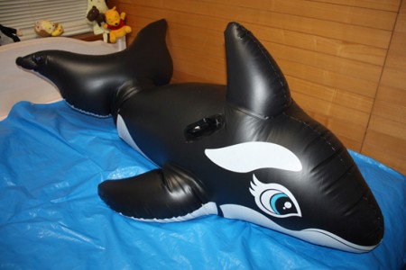 Into An Inflatable Orca - This is an 3 layered inflatable orca suit.
The orca looks cute, but it is an extreme bondage item.

Human who is inside of the orca can feel strict bondage by the pressure.
No one can escape from the inside of this orca.
Of course the breath is made difficult, too.

=== Video description ===

A man is wearing an inner suit which covers his whole body and his head.
He is pushed into the orca and the zipper is closed and locked.
The electric air pump inflates the orca from 7 nozzles.
He tries to touch the padlock by his flipper, but he can't do anything.

It looks so cute.
He feels extreme bondage in the orca suit.
Now, he is captured in this cute orca.

He can breathe from the zipper line, but it is not enough to get fresh air.
He struggles hard but he can't escape at all and his struggling makes him more difficult to breathe.

Another man wearing zentai soaks poppers into a cloth.
The captured man is 4ced to sniff the poppers from under the zipper.

The strict bondage and breathless torments him.
But the poppers bring exciting and pleasure to him.
Now he feels happy in the orca suit.

Genre: Inflatable float bondage