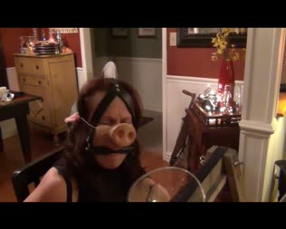 Drooling Gagged  Piggy - Slave cj dressed as a piggy with bar gag in mouth drools all over herself and into a bowl.
