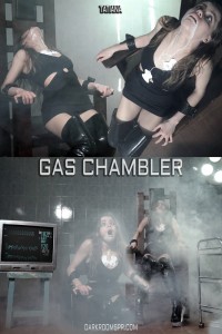 GAS CHAMBLER - An east Europe country has reinstated the death penalty for women. To exercise this they built a gas
chamber at the womens prison.
The only way To really test this new execution device will be actually executing someone for real. To do
this the prison officials have picked a random pretty girl off the street from a night club and taken her
into custody.

Open scene.
Tatiana is already strapped in to a sturdy well built chair. She has heart monitor electrodes stuck to her
chest under her dress, wires leading off to a junction on the chamber wall.
She is wearing a black mini dress and shiny black thigh high boots.
She is extremely scared, begging to be released.
After approximately 30 seconds under the chair a cup of white powder tips over and pours into a bowl
of liquid creating a vigorous foaming reaction and some cloudy vapours, Cyanide Gas!
Tatiana trys to hold her breath in desperation. However, after only 30 seconds or so, she cant hold her
breath anymore, and by reflex, she takes a deep breath causing her to inhale a large amount of gas. She
reacts like she just got stabbed in the lungs.
After the initial shock Tatiana can only take short shallow breaths. However she soon starts to foam
from her mouth and salivating uncontrollably.
Tatiana convulses, and struggles trying to breath normally, but every time she breaths in all she gets a
lung full of cyanide gas.
For the next 6 minutes this continues.
6 minutes after the gas started Tatiana starts to get light headed and dizzy. Her strength begins to fade.
This continues for another 6 minutes until 12 full minutes after the gas started Tatiana goes
unconscious.
Seconds later the heart monitor stops, indicating Tatiana is dead!