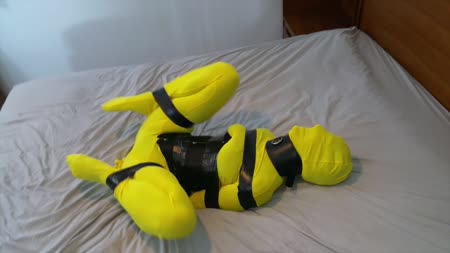 Simone Bumblebee Bound And Buzzed