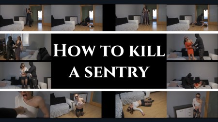 Wanda fantasy - How to kill a sentry