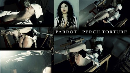 PARROT PERCH TORTURE PINOCHET